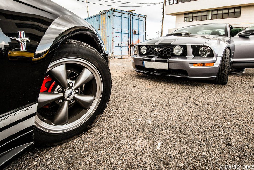 Dream Cars - detalle Ford Mustang