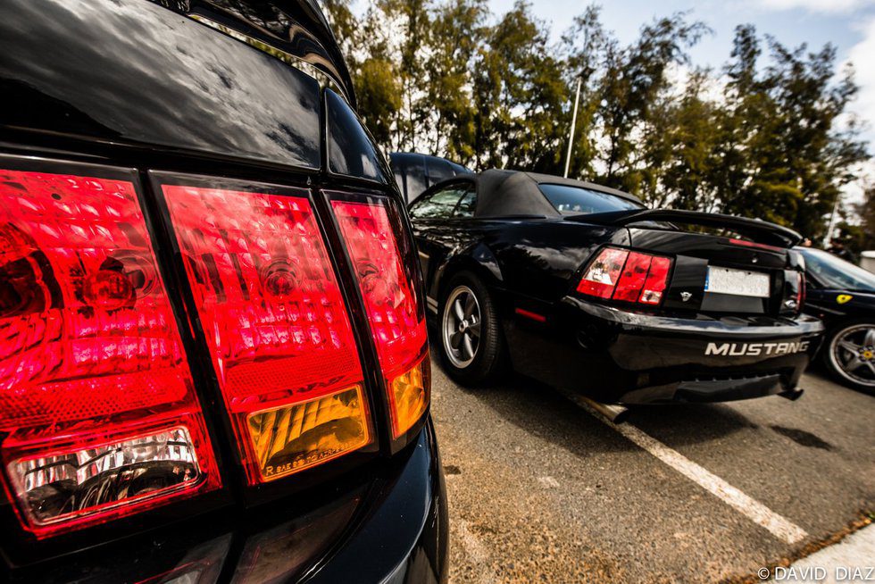 Dream Cars - Ford Mustang rear