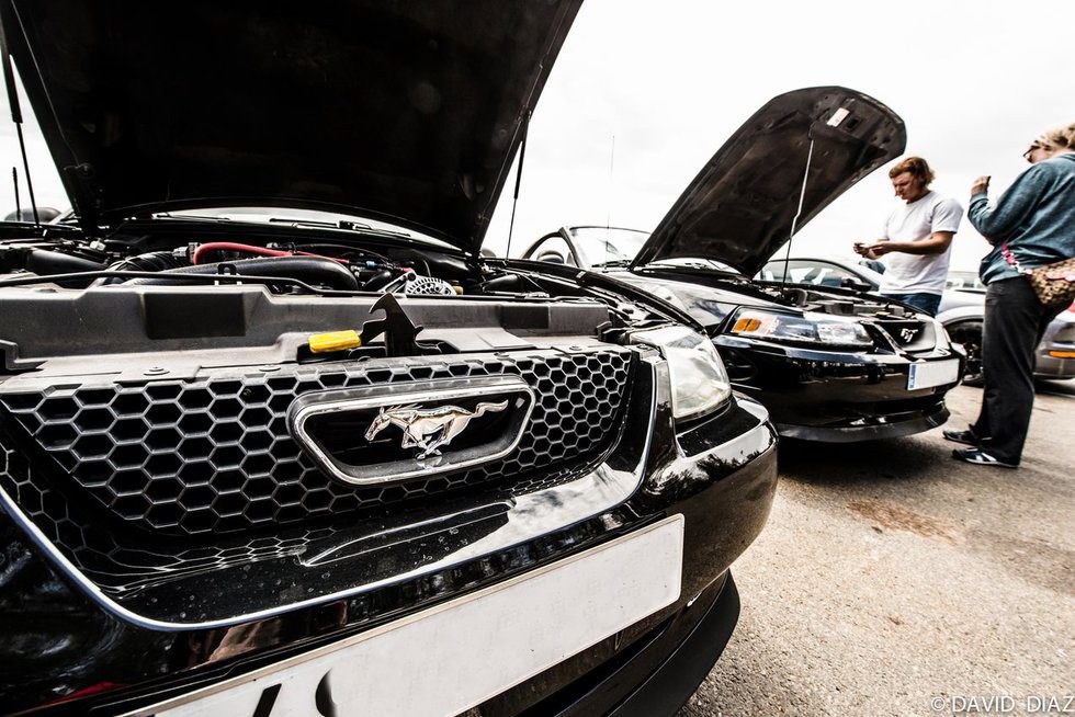 Dream Cars - Ford Mustang