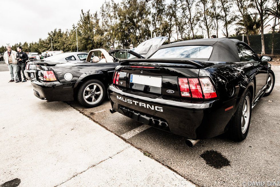 Dream Cars - Mustang rear