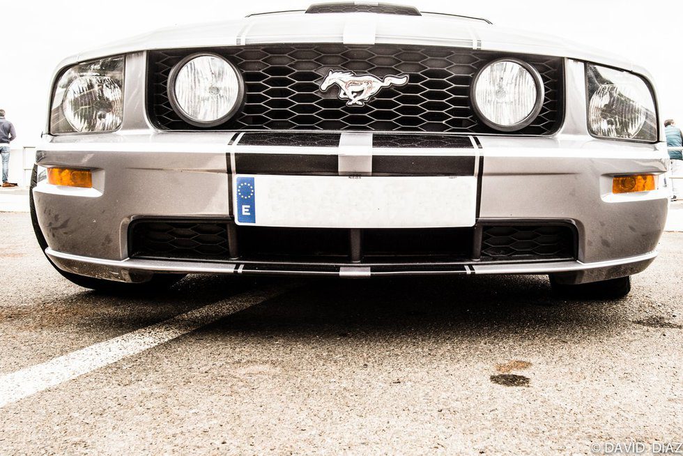 Dream Cars - detalle Ford Mustang frontal
