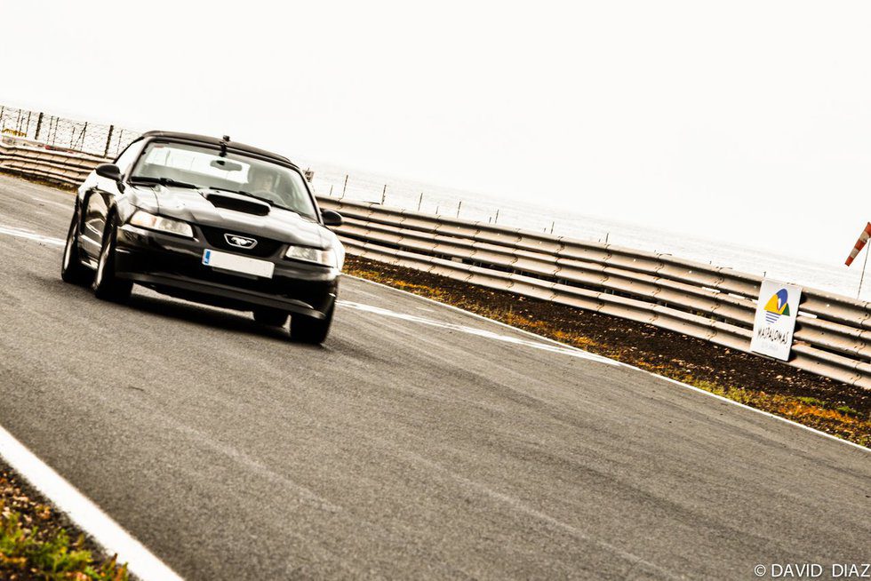 Dream Cars - detalle Ford Mustang circuito