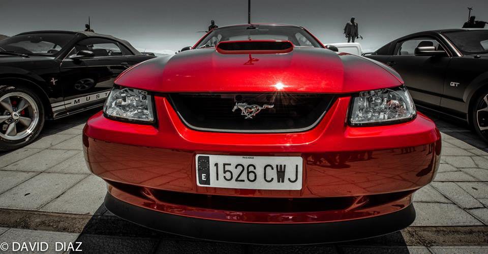 Concentración ACC Tenerife 2015 - Ford Mustang