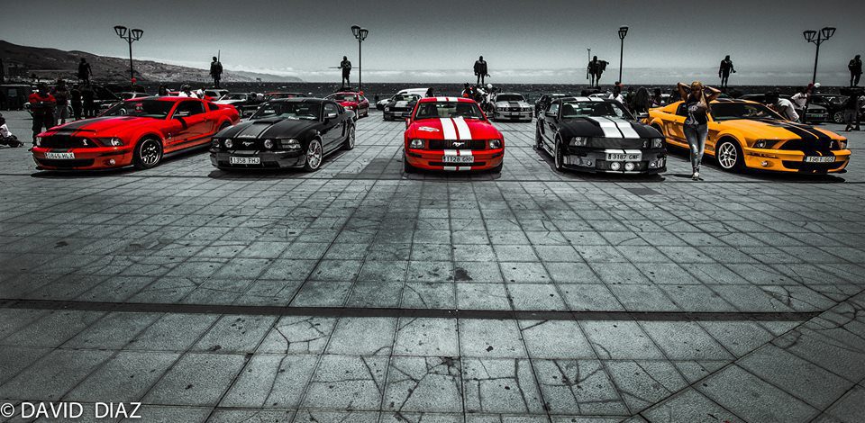 Concentración ACC Tenerife 2015 - Ford Mustang