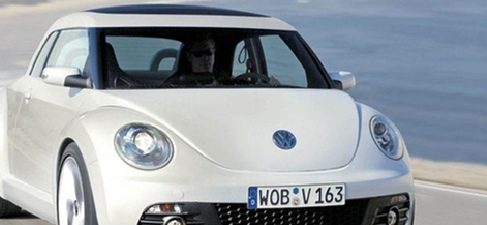 Beetle 2011