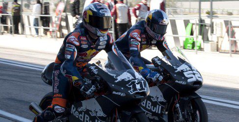 cortese