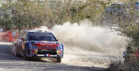 loeb