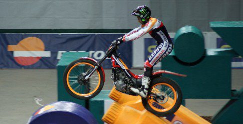 toni bou
