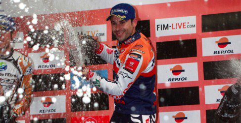 toni bou