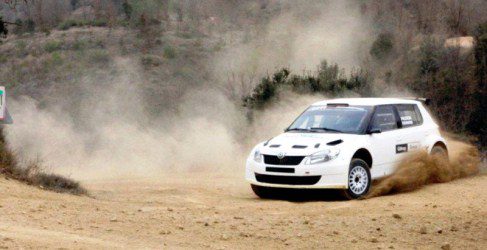 hayden paddon