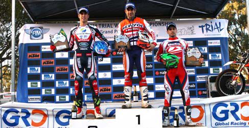toni bou