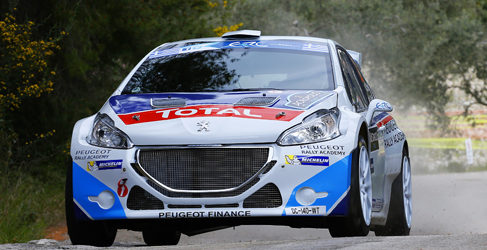 previo irlanda erc 2014