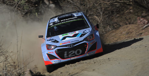 nino frison wrc