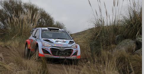 previo hyundai italia
