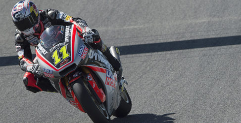 sandro cortese
