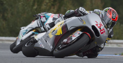 kallio aspar 2015
