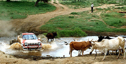 Waldegard ganó el Rally Safari en 4 ocasiones