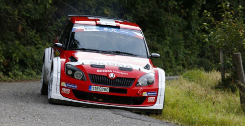 erc consejo motor