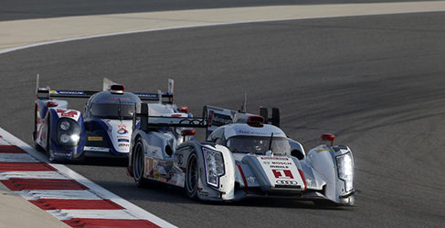 audi toyota