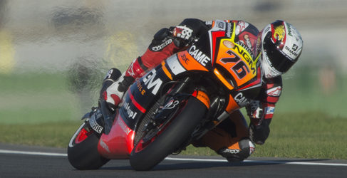 loris baz subasta