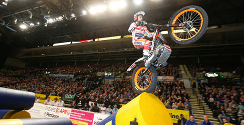 toni bou