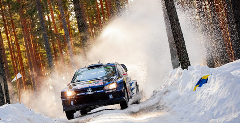 latvala set up polo