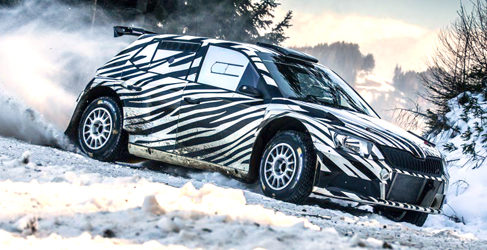 skoda fabia r5 nacionales