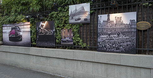 Exposición Tiburón DS