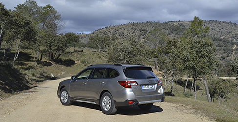 Subaru Outback