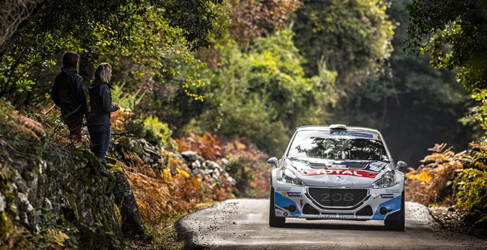calendarios wrc y erc