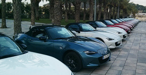 mx5 coleccion