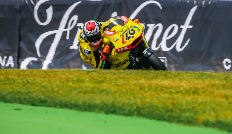 Rins