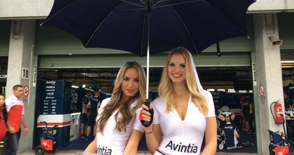 Paddock Girls Avintia