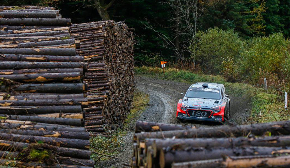 Thierry Neuville - Nicolas Gilsoul, Hyundai NG i20 WRC