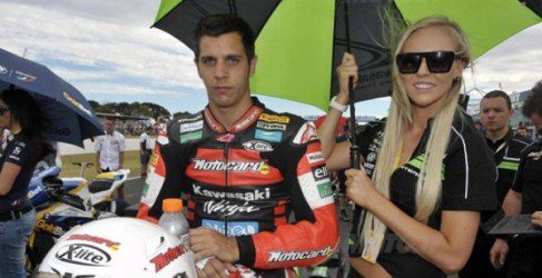 david salom