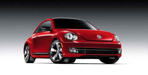 Beetle