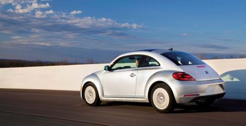 Beetle