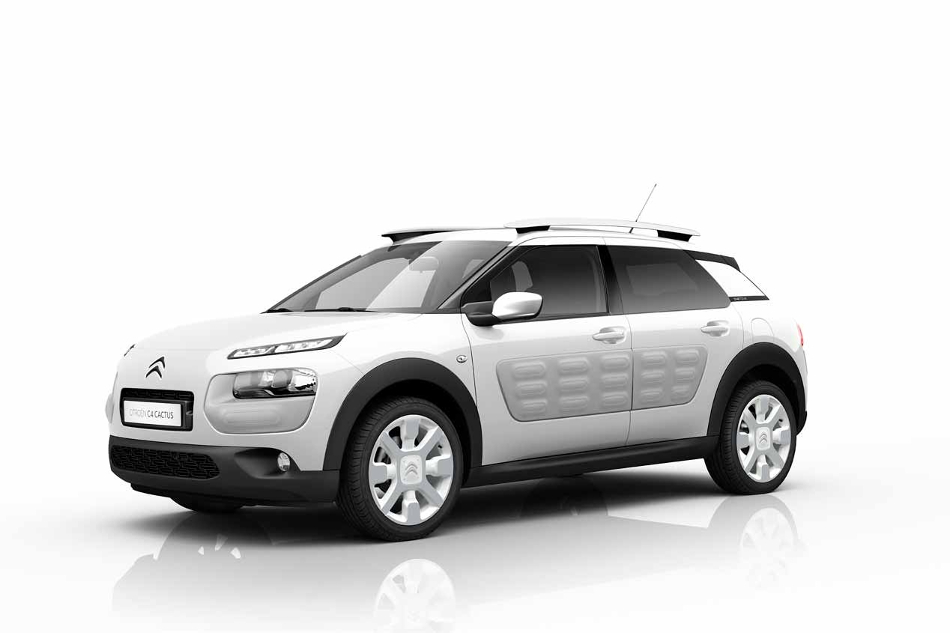 C4 Cactus blanco