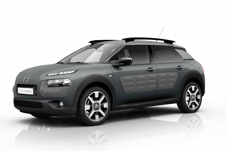 C4 Cactus gris
