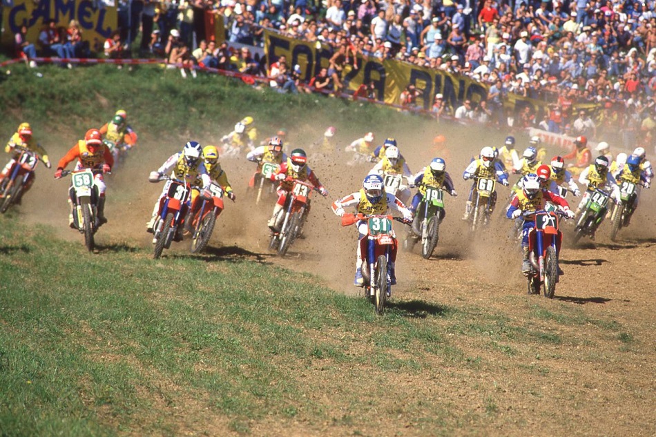 Maggiora 1986