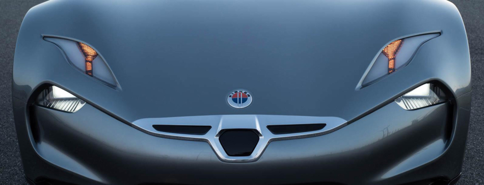 Fisker frontal