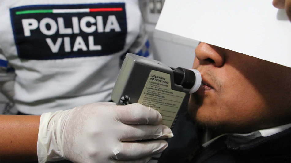 Seguros 3