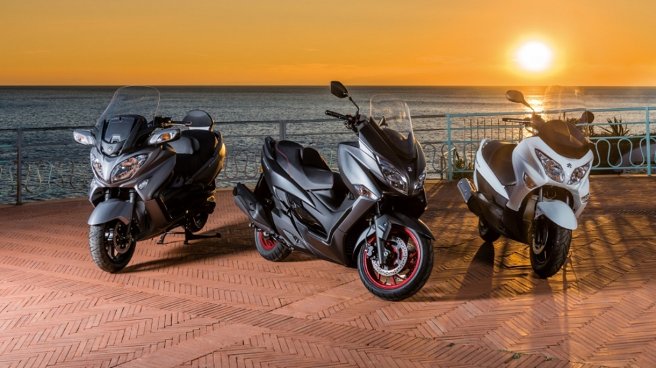 Burgman colores