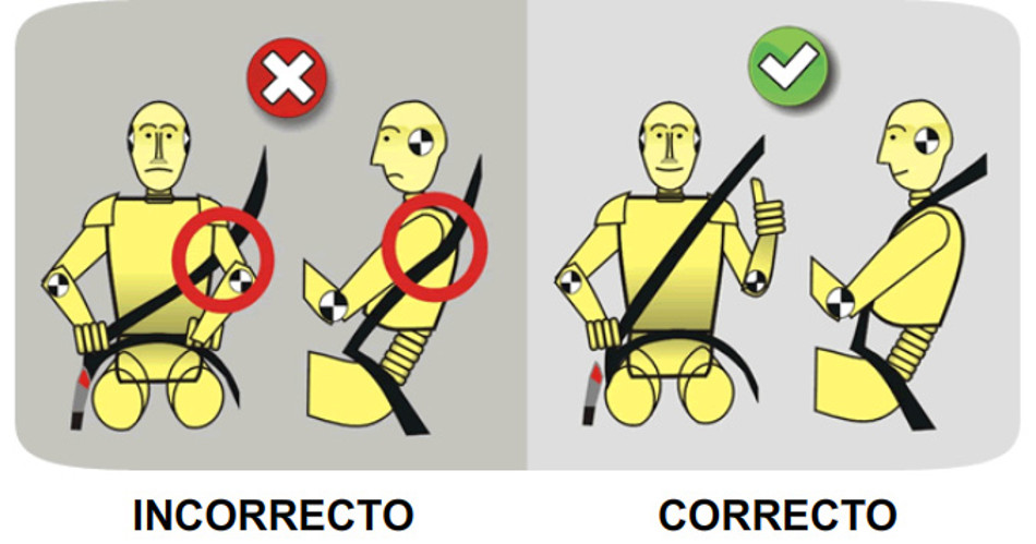 Cinturón-3