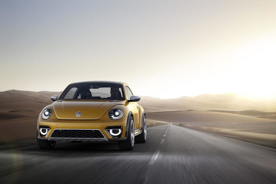 Beetle-1