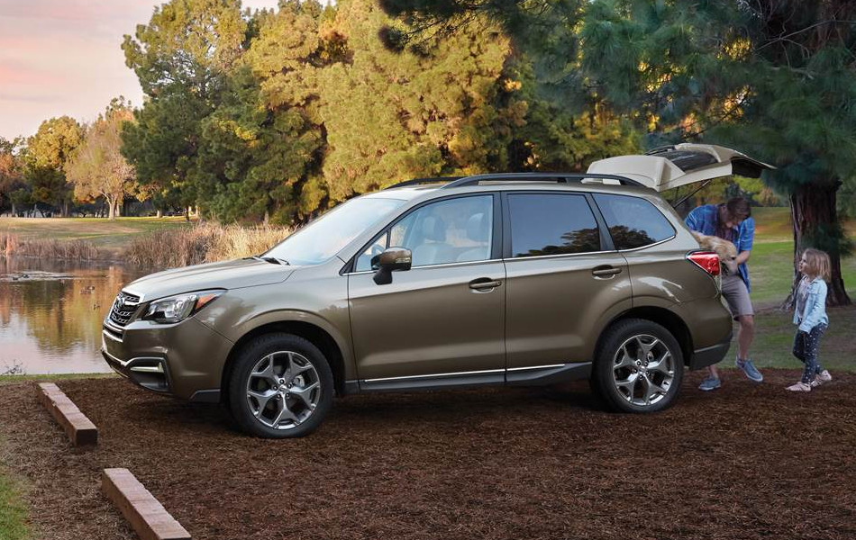 Forester-2