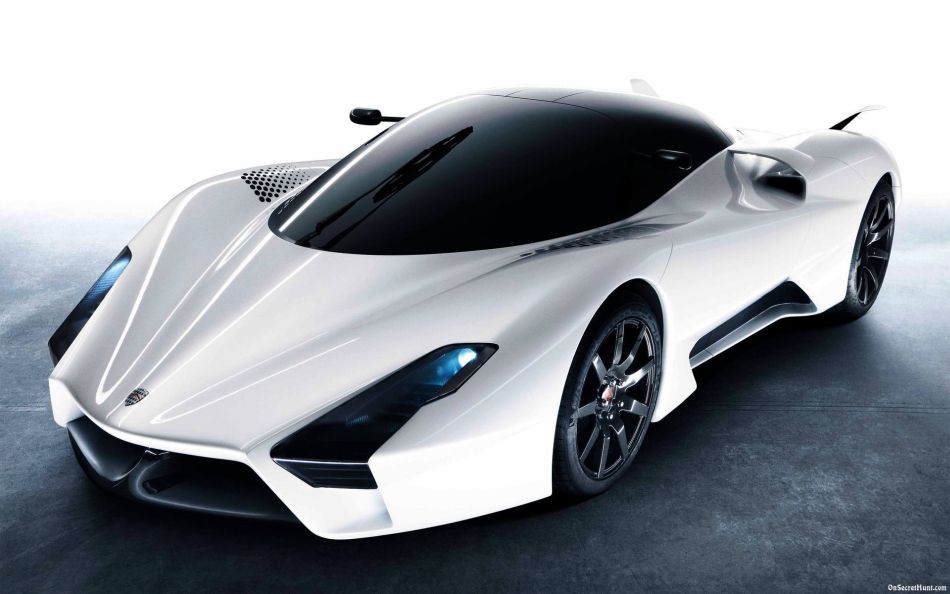 Tuatara-1
