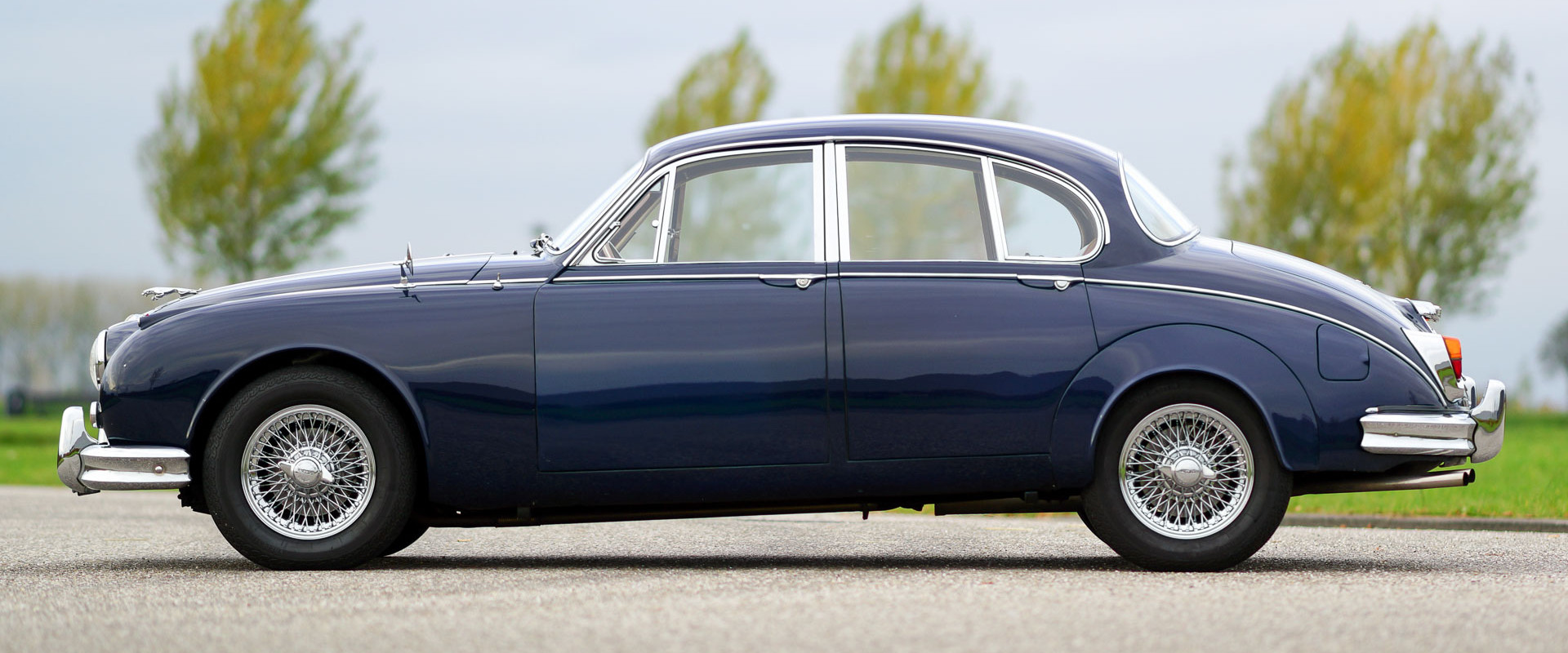 jaguar-2