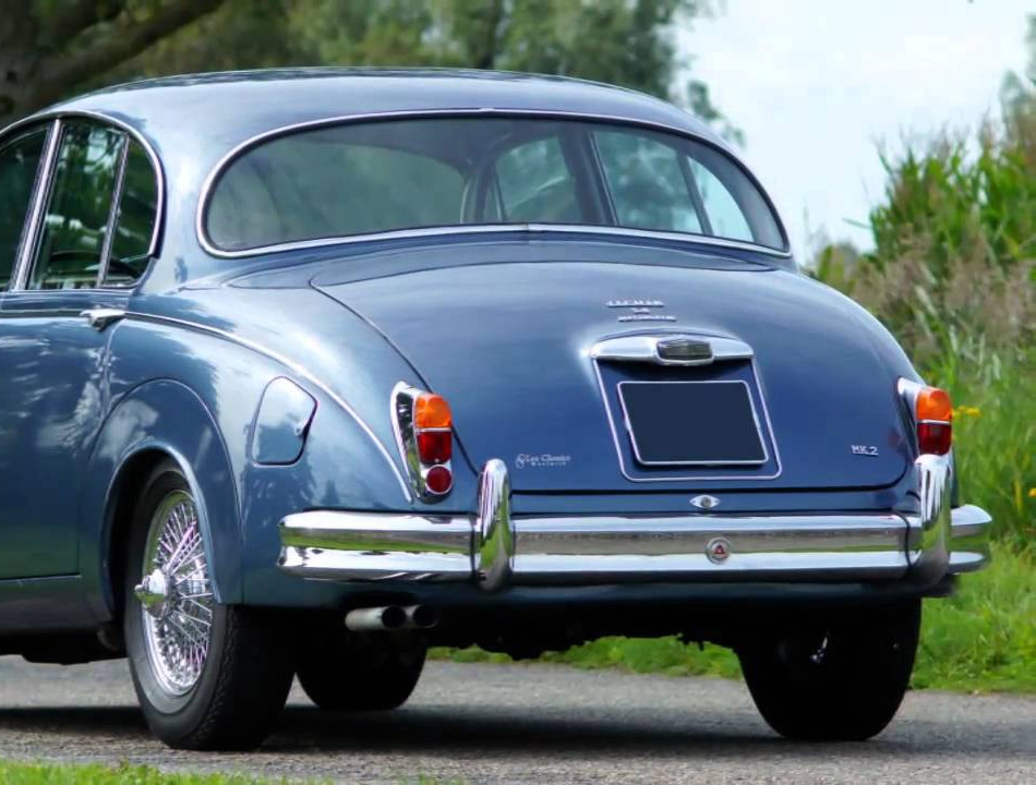 jaguar-3