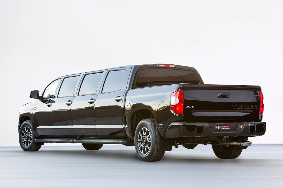 Tundrasine-2